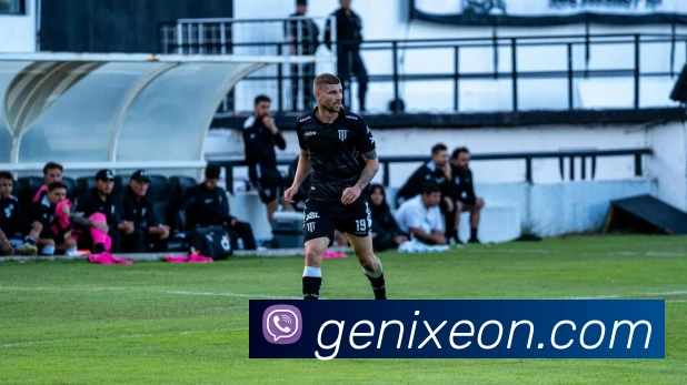 体育赛事